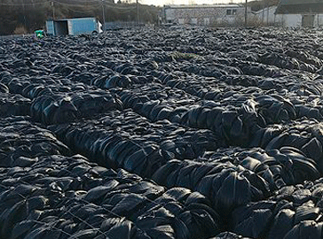 8,000 MT tons of rubber waste from Glasgow to Mumbai